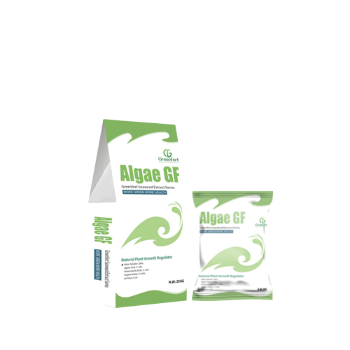 algae_greenFert